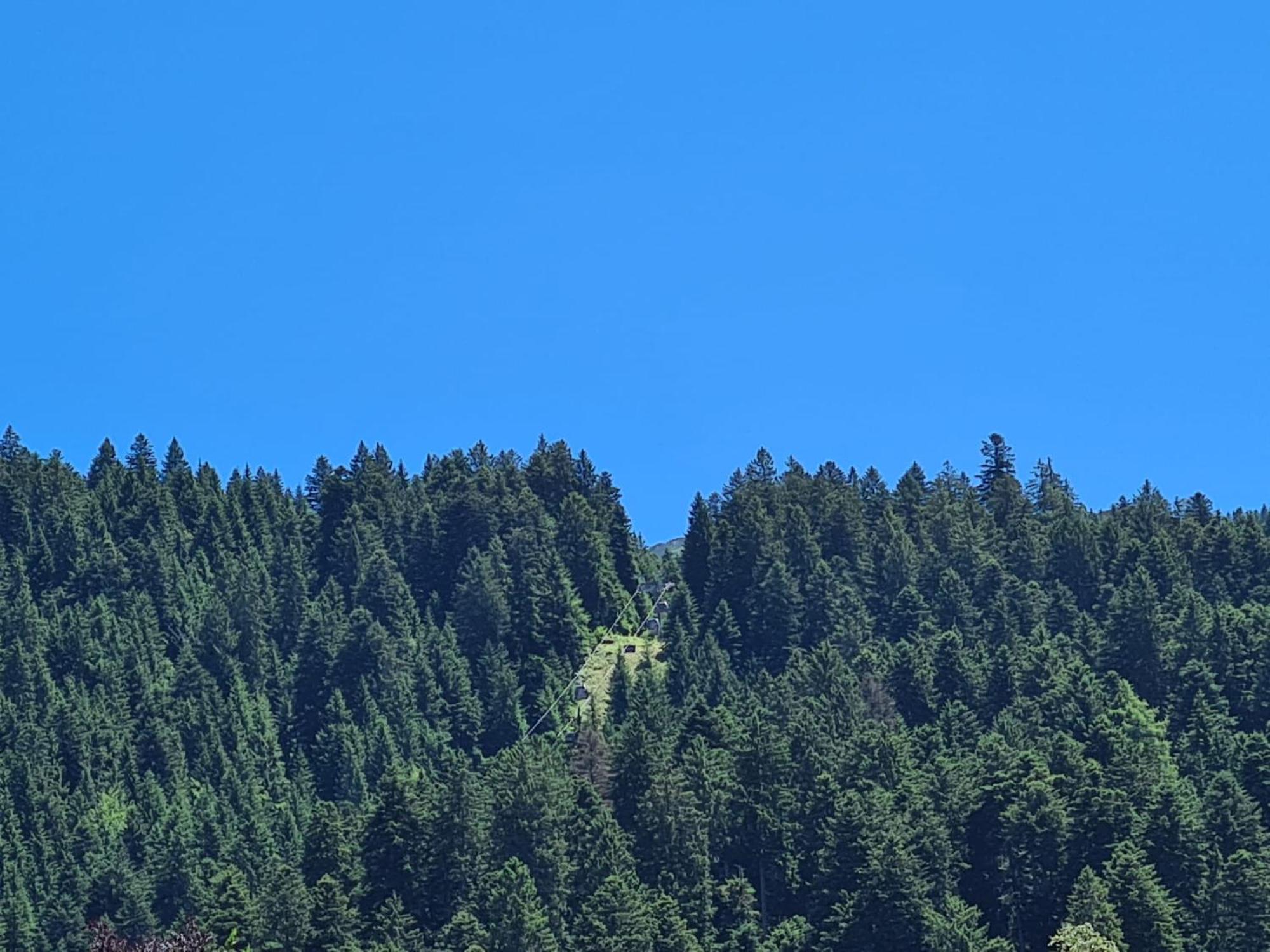 Appartamenti Croz Del Re Andalo Bagian luar foto
